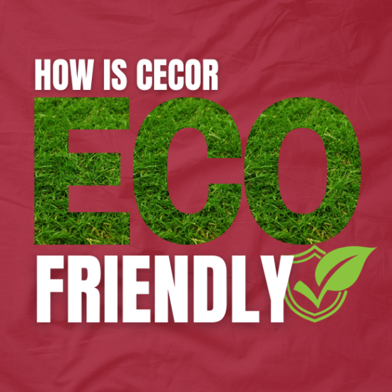 CECOR's Contribution to Sustainable Industrial Solutions